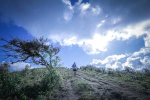 BIB: 
                            <button type="button" onclick="openModal(15955469)" class="btn btn-primary btn-sm float-right btn-popup" data-toggle="modal" data-target=".modal-high-quality">
                        <i class="fas fa-shopping-cart"></i> Add to Cart
                    </button>
                                            <button type="button" onclick="isThisMe(15955469, true)" class="btn btn-success btn-sm float-right btn-popup btn-isme hidden" data-toggle="tooltip" data-placement="bottom" title="นี่คือรูปของคุณใช่ไหม คลิกที่นี่เพื่อเอาเข้าอัลบั้ม">
                        <i class="fas fa-plus"></i> Add to album
                    </button>
                    <button type="button" onclick="isThisMe(15955469, false)" class="btn btn-warning btn-sm float-right btn-popup btn-isnotme hidden">
                        <i class="fas fa-ban"></i> Remove from album
                    </button>